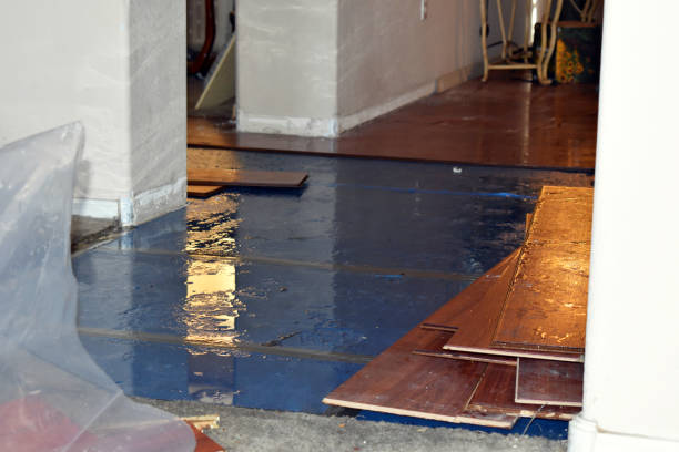 Professional Water Damage Restoration technician working in Medina, NY